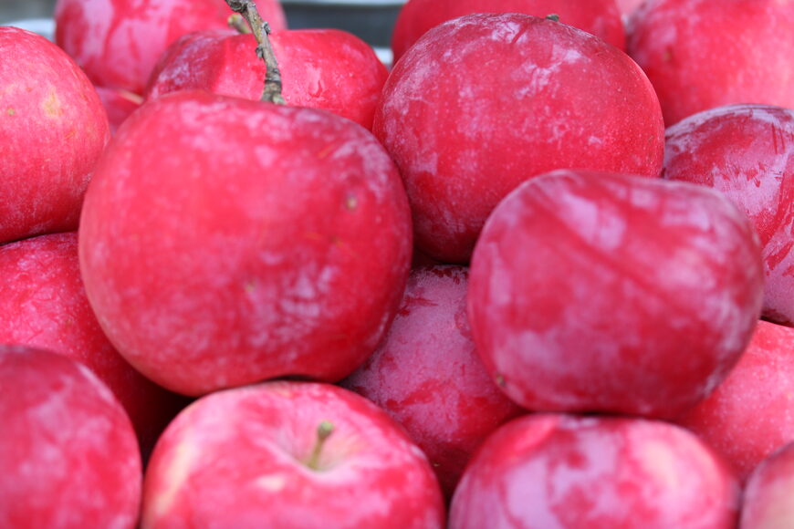 Malic acid in apples helps to reduce fibromyalgia pain