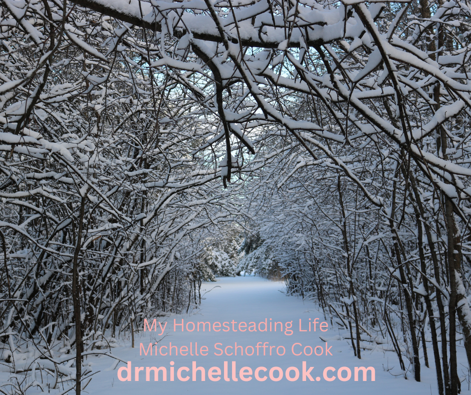 Winter Wonderland--My Homesteading Life by Michelle Schoffro Cook