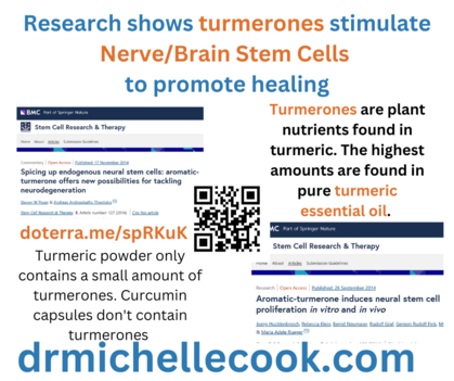 Research shows turmerones stimulate nerve/brain stem cells to promote healing